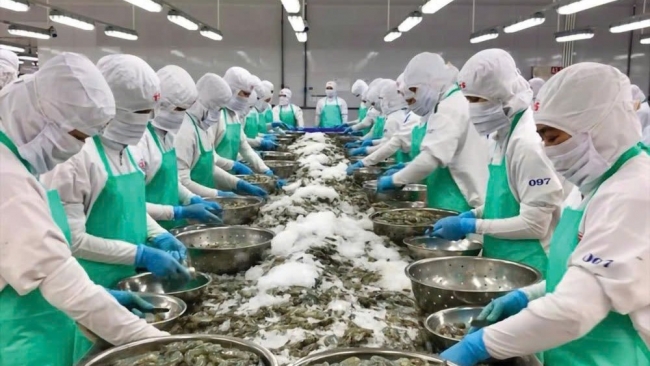 Cửa sáng hợp tác đầu tư thương mại cho doanh nghiệp Việt Nam - EU