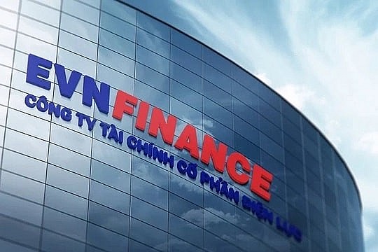 Chi nhánh EVNFinance lộ sai sót về cho vay sau thanh tra Chi nhánh EVNFinance lộ sai sót về cho vay sau thanh tra