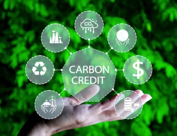Ưu tiên doanh nghiệp tư nhân tham gia thị trường carbon