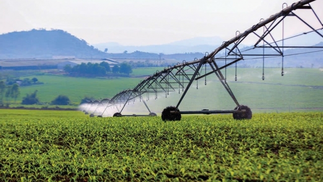 go nut that cho doanh nghiep chuyen doi xanh