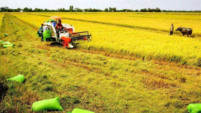 Miễn, giảm thuế đất nông nghiệp: Nâng cao sức cạnh tranh, đảm bảo an ninh lương thực