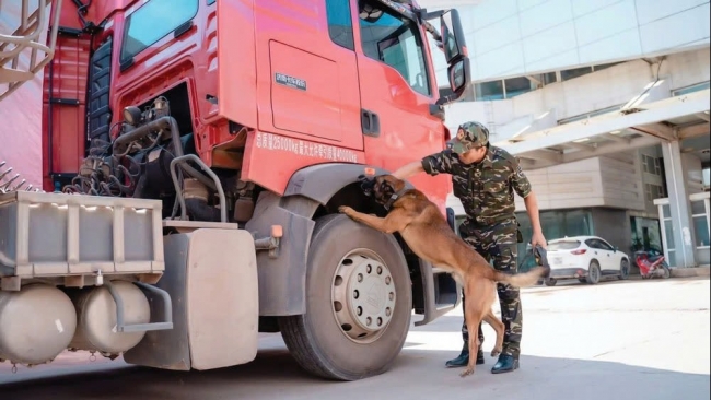 Hải quan tổng lực trấn áp buôn lậu, gian lận thương mại và hàng giả