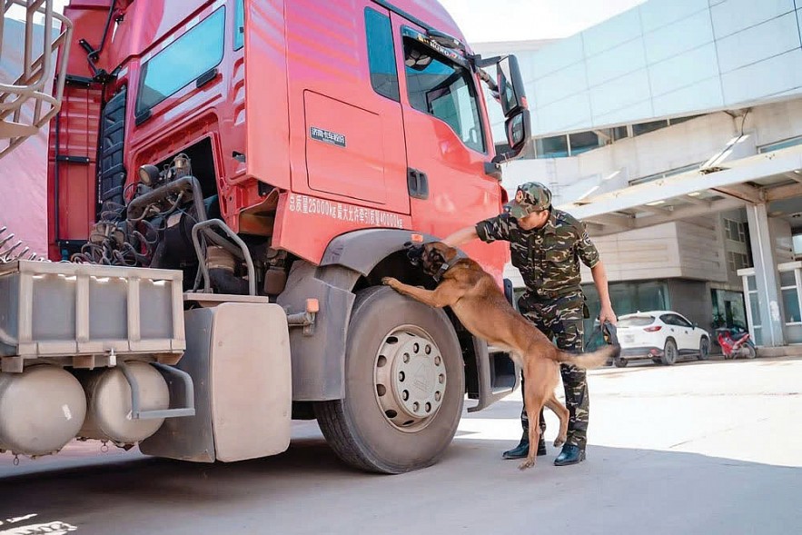 Hải quan tổng lực trấn áp buôn lậu, gian lận thương mại và hàng giả