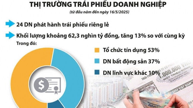 Sửa Luật Doanh nghiệp: Thêm điều kiện để giảm rủi ro cho thị trường trái phiếu doanh nghiệp