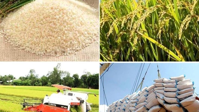 Việt Nam tham vấn xây dựng Kế hoạch chi tiết về chuyển đổi hệ thống lương thực thực phẩm đến năm 2030