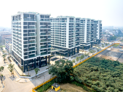 Sunshine Group livestream đặt giá căn hộ vào ngày 1/7, giá khởi điểm chỉ bằng 50% giá thị trường