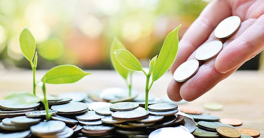 Tín dụng xanh chờ cú hích từ chính sách hỗ trợ lãi suất 2%