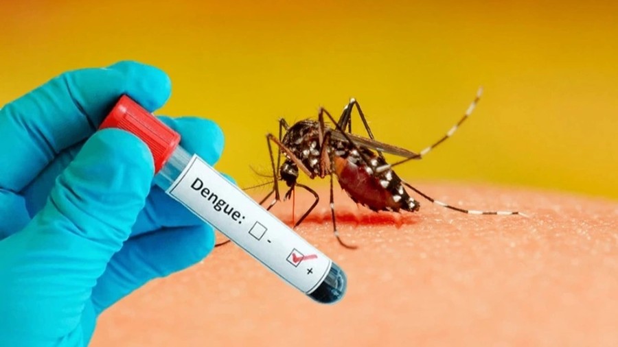 Hà Nội ghi nhận 72 ca mắc sốt xuất huyết, tăng gấp đôi so với tuần trước