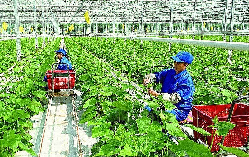 Chuyển đổi xanh của Việt Nam đối diện với thách thức đa chiều Chuyển đổi xanh của Việt Nam đối diện với thách thức đa chiều