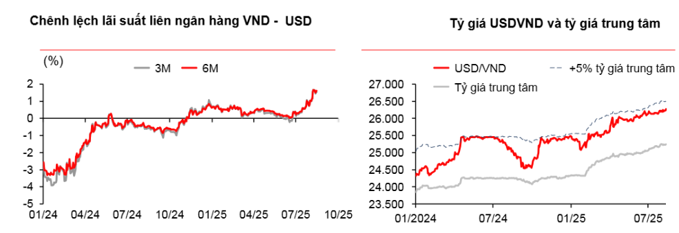 Thị trường tiền tệ tuần 18 - 22/8: Tỷ giá trung tâm sát 25.300 USD/VND, kỳ vọng hạ nhiệt quý III Thị trường tiền tệ tuần 18 - 22/8: Tỷ giá trung tâm sát 25.300 USD/VND, kỳ vọng hạ nhiệt quý III