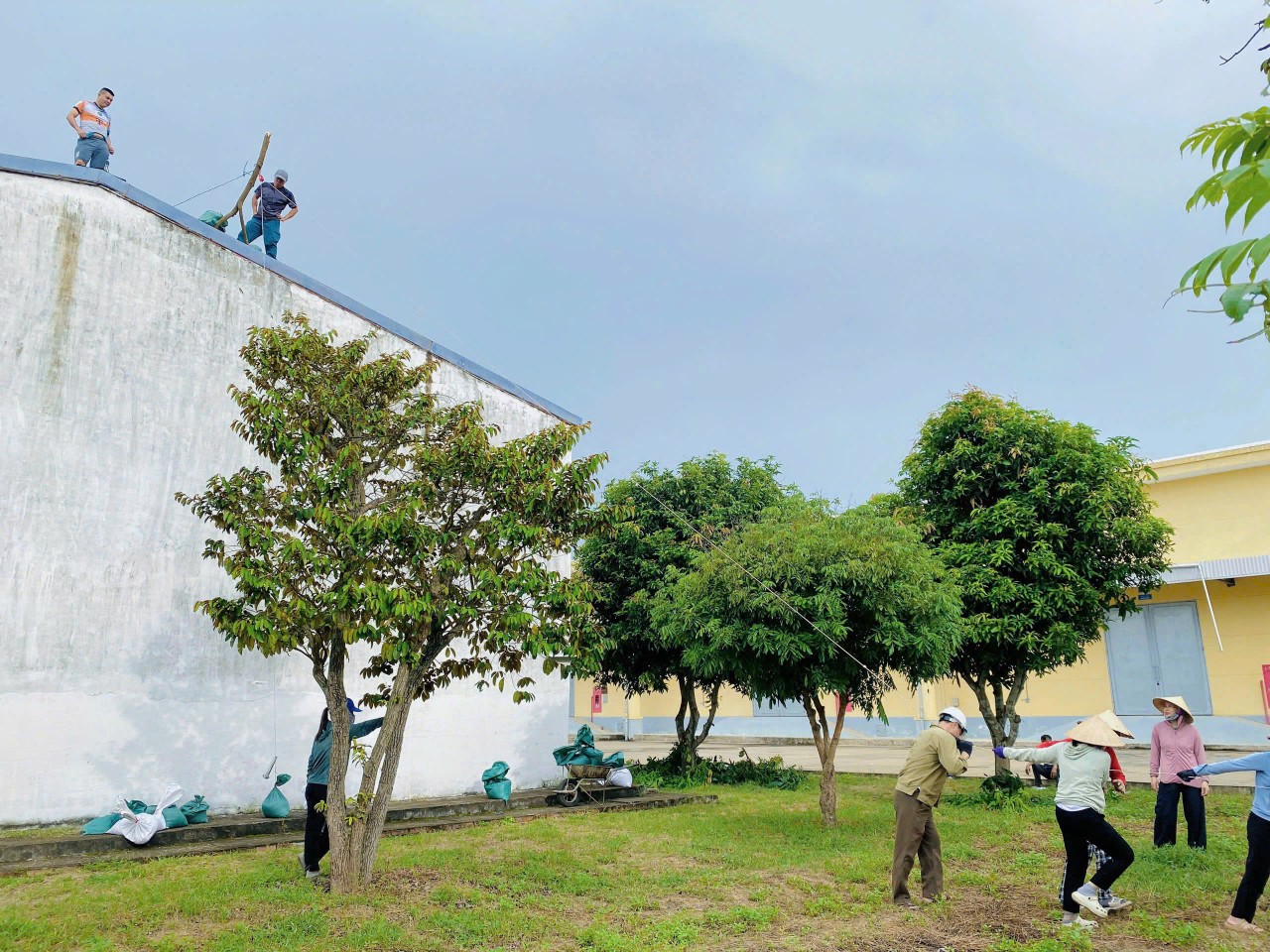 Các Chi cục Dự trữ Nhà nước khu vực chủ động ứng phó với bão số 5 Các Chi cục Dự trữ Nhà nước khu vực chủ động ứng phó với bão số 5