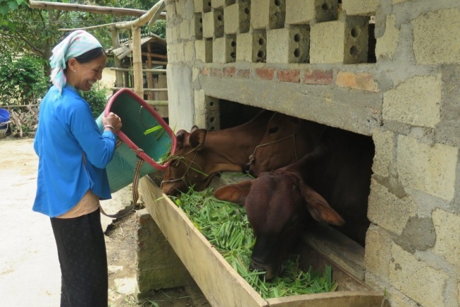 Lào Cai: Năm 2025, phấn đấu giảm trên 2.000 hộ nghèo