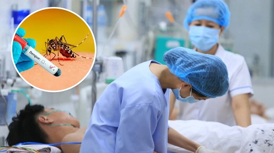 Cả nước ghi nhận hơn 21.600 ca mắc sốt xuất huyết trong tháng 8