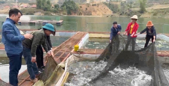 Nguồn vốn chính sách xã hộ giúp Điện Biên tự tin giảm nghèo bền vững