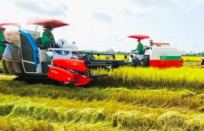 Chân kiềng vững chắc cho nền kinh tế