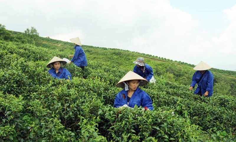 Cao Bằng: Triển khai hiệu quả Chương trình Giảm nghèo bền vững