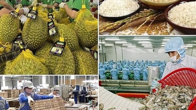 Việt Nam thu 45,37 tỷ USD từ xuất khẩu nông, lâm, thủy sản trong 8 tháng