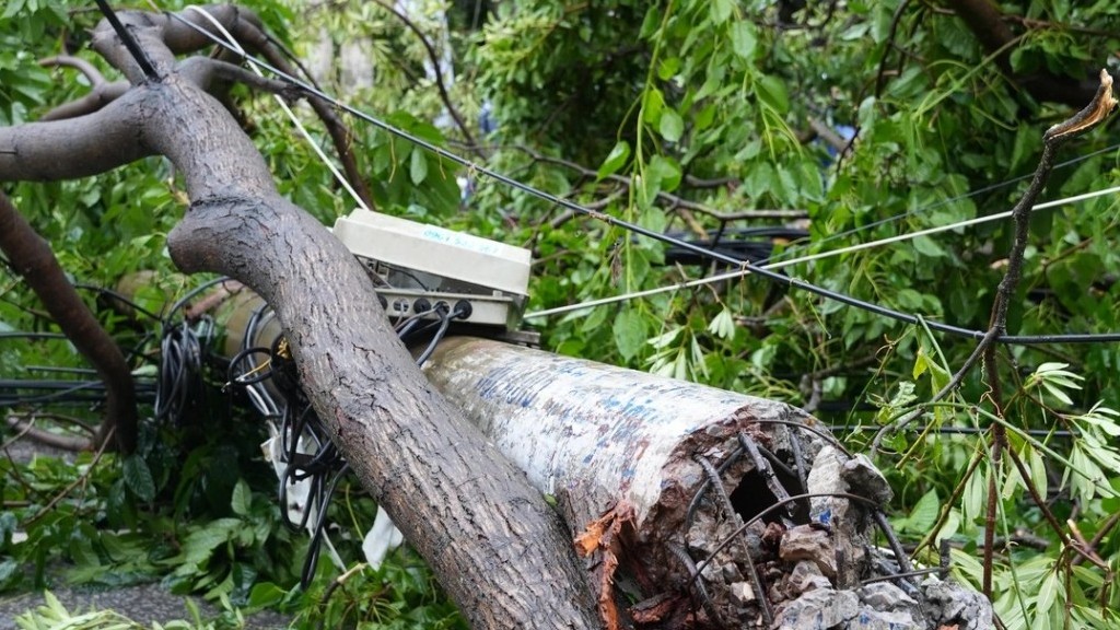 Bão Kajiki gây thiệt hại ước tính gần 2.900 tỷ đồng