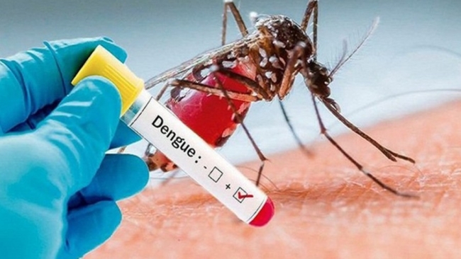Hà Nội: Ghi nhận 190 trường hợp mắc sốt xuất huyết trong tuần qua