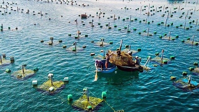 Việt Nam đề nghị Hoa Kỳ xem xét khách quan về thương mại thủy sản