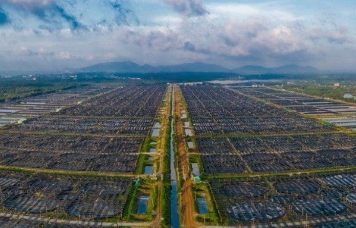 Thủy sản Minh Phú tăng vốn điều lệ lên gần 4.011 tỷ đồng qua phát hành cổ phiếu ESOP