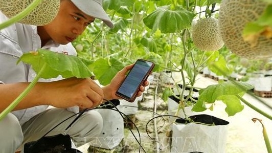 Chuyển đổi số trong nông nghiệp đáp ứng tiêu dùng xanh