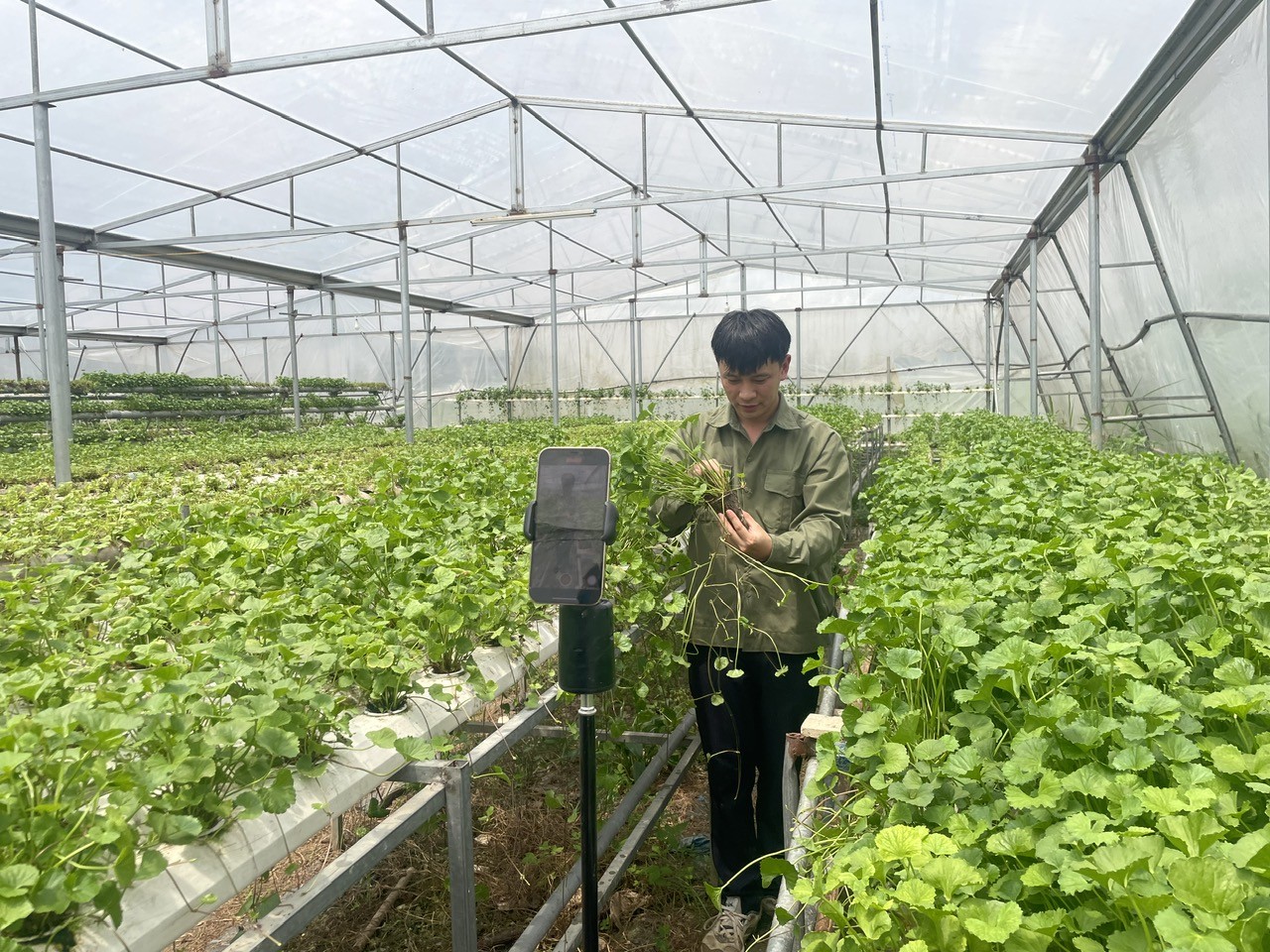 Quảng Ninh bứt phá với thương mại điện tử, tạo đà phát triển kinh tế số Quảng Ninh bứt phá với thương mại điện tử, tạo đà phát triển kinh tế số