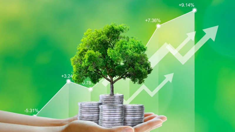 Doanh nghiệp tư nhân, hộ kinh doanh có thể vay vốn xanh rẻ hơn 2%/năm đến 2030