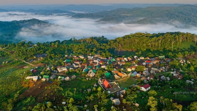 Gia Lai có nhiều thuận lợi trong phát triển tín chỉ carbon từ rừng