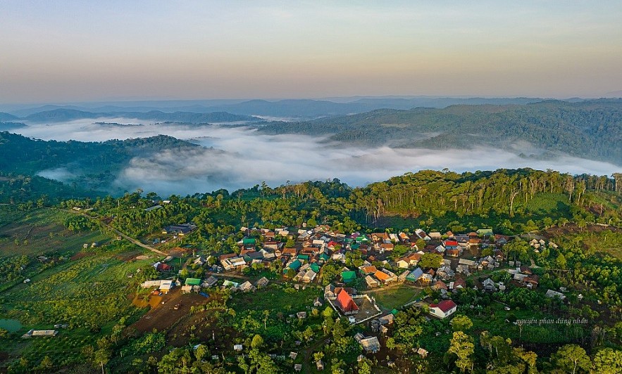 Gia Lai có nhiều thuận lợi trong phát triển tín chỉ carbon từ rừng Gia Lai có nhiều thuận lợi trong phát triển tín chỉ carbon từ rừng