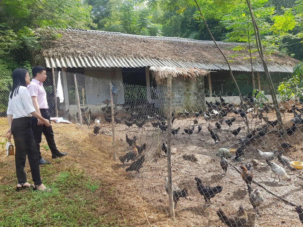 Phú Thọ cam kết 100% hộ nghèo, hộ cận nghèo được vay vốn tín dụng ưu đãi phát triển kinh tế Phú Thọ cam kết 100% hộ nghèo, hộ cận nghèo được vay vốn tín dụng ưu đãi phát triển kinh tế