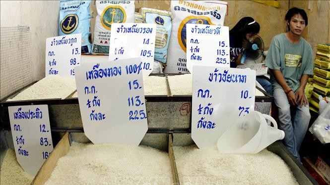 Thị trường nông sản tuần qua: Giá gạo xuất khẩu của Thái Lan giảm xuống mức thấp nhất trong gần 9 năm
