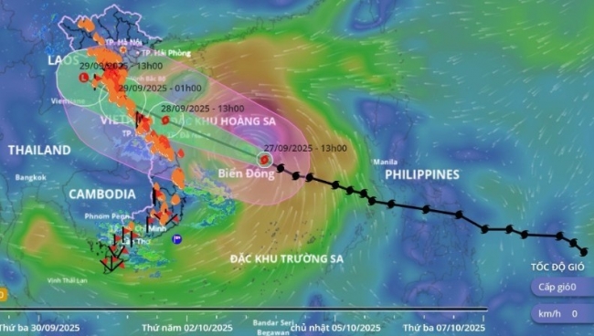 Hải quan khu vực X, XI chủ động bố trí nhân lực ứng phó với bão Bualoi