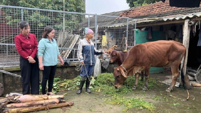 Ninh Bình phấn đấu đến năm 2030 đưa tỷ lệ hộ nghèo xuống dưới 1%