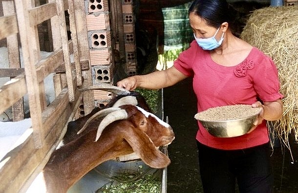 Bà Rịa – Vũng Tàu - điểm sáng giảm nghèo bền vững