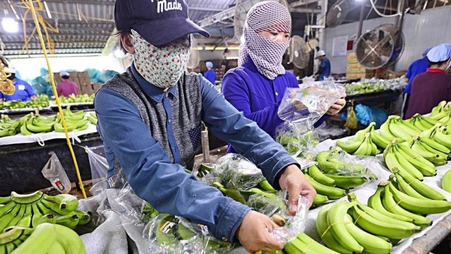 Hỗ trợ kinh phí bảo vệ thương hiệu cho nông dân và sản phẩm trong nước