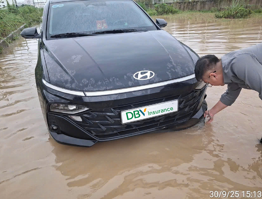 Tập đoàn Bảo hiểm DBV tiếp nhận 226 vụ tổn thất do bão số 10