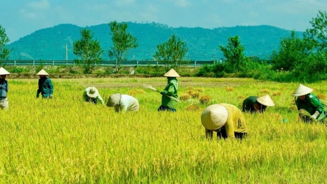 Hà Nội về đích trước thời hạn khi thực hiện mục tiêu "không còn hộ nghèo"