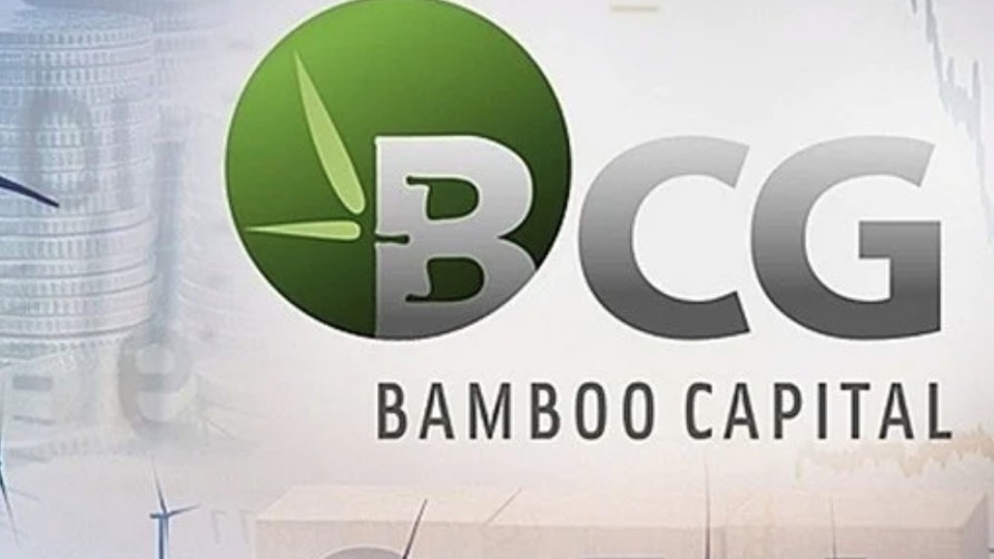 Cổ phiếu BCG và TCD bị đình chỉ giao dịch, động thái Bamboo Capital thế nào?