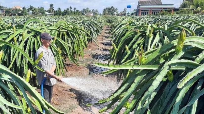 Phát triển nông nghiệp sinh thái để Việt Nam thực hiện các cam kết toàn cầu về biến đổi khí hậu