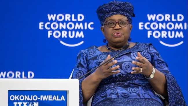 WTO: Tăng trưởng thương mại toàn cầu 2025 khả quan nhờ AI và nhập khẩu Mỹ