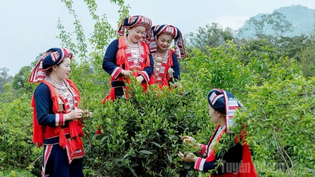 Tuyên Quang: Thành quả từ nỗ lực giảm nghèo bền vững