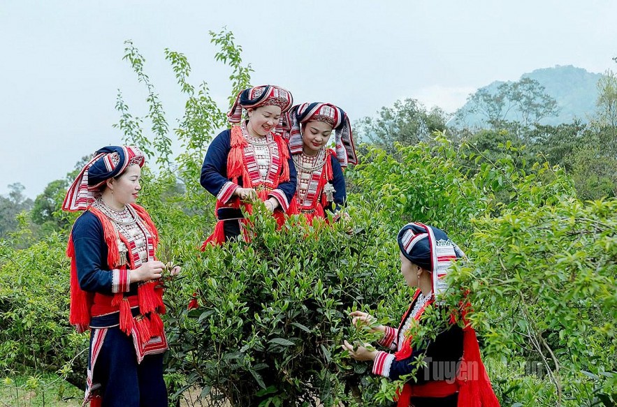 Tuyên Quang: Thành quả từ nỗ lực giảm nghèo bền vững