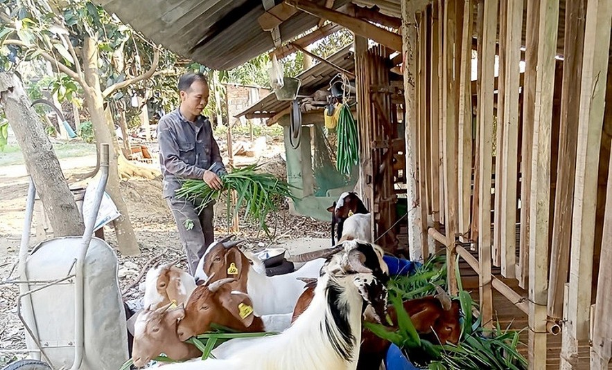 Tuyên Quang: Thành quả từ nỗ lực giảm nghèo bền vững
