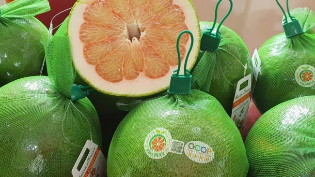 viet nam lan dau xuat khau trai buoi sang uc