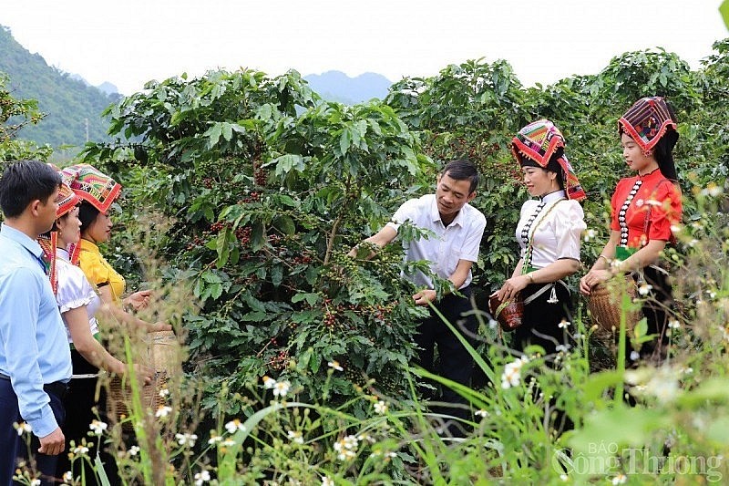 Sơn La: Hiệu quả từ chính sách hỗ trợ giảm nghèo bền vững