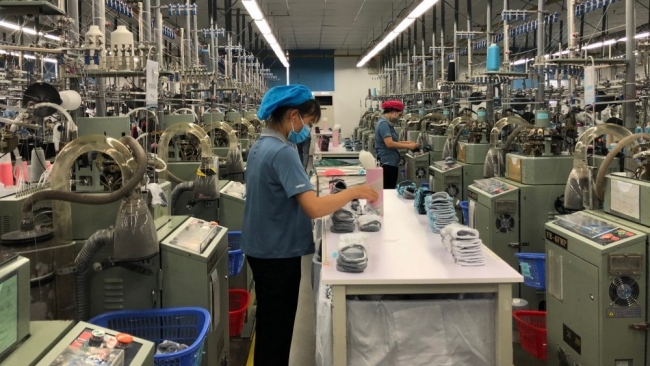 Thuế TP. Hải Phòng thu nội địa 9 tháng vượt dự toán