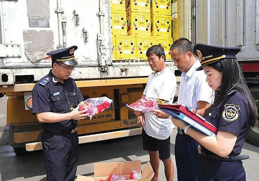 Hải quan tăng tốc hoàn thiện thể chế pháp luật, tạo thuận lợi cho doanh nghiệp Hải quan tăng tốc hoàn thiện thể chế pháp luật, tạo thuận lợi cho doanh nghiệp