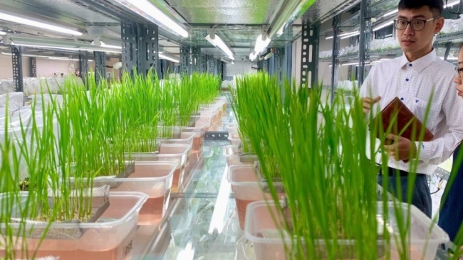 Hoàn thiện khung pháp lý cho ứng dụng công nghệ chỉnh sửa gen, phù hợp với bảo vệ môi trường