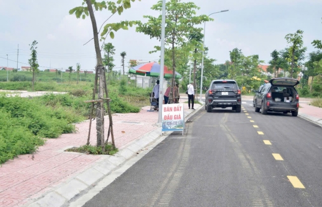 “Bỏ cọc đấu giá đất” bị cấm tham gia 5 năm và bồi thường toàn bộ thiệt hại?